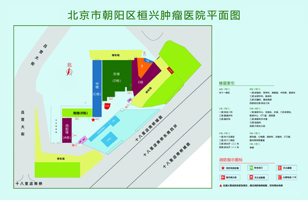 草B视频网站入口北京市朝阳区桓兴肿瘤医院平面图